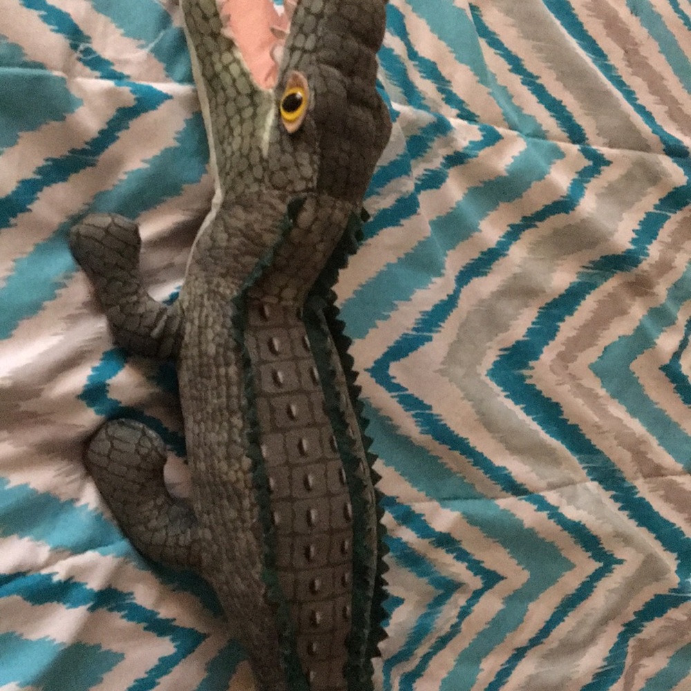 Stuffed animal